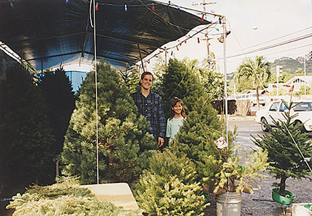 Hawaii Christmas trees